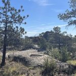 Blue Sky Loop - boulders and trees