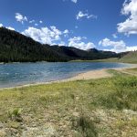 East shore of Seepage LAke