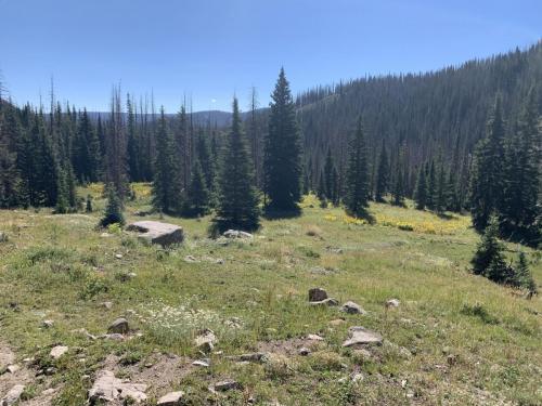 Archuleta Lake Trail