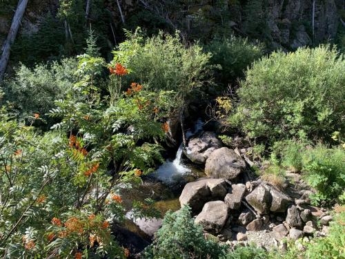 Archuleta Lake Trail