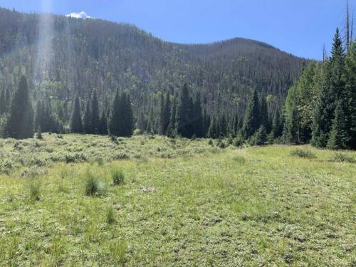 Big Meadow Reservoir Trail