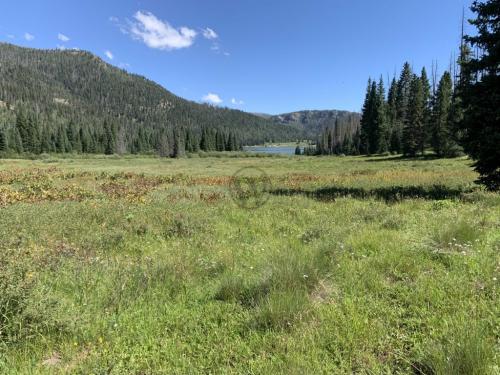 Big Meadow Reservoir