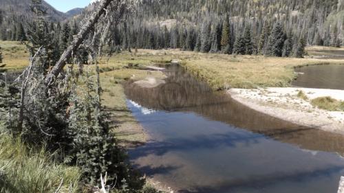 Big Meadow Reservoir Trail