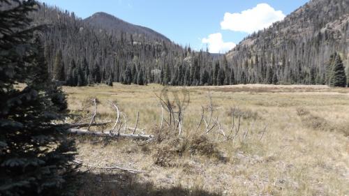 Big Meadow Reservoir Trail