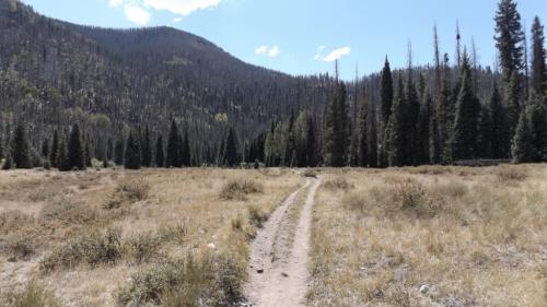 Big Meadow Reservoir Trail