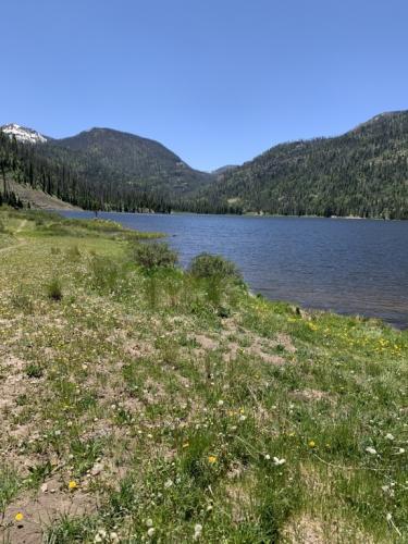 Big Meadow Reservoir