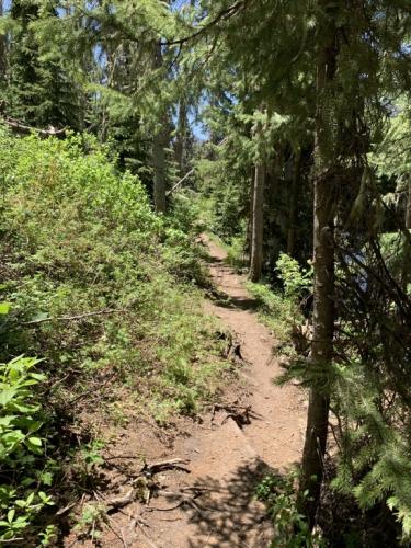 Big Meadow Reservoir Trail