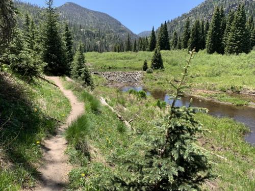 Big Meadow Reservoir Trail