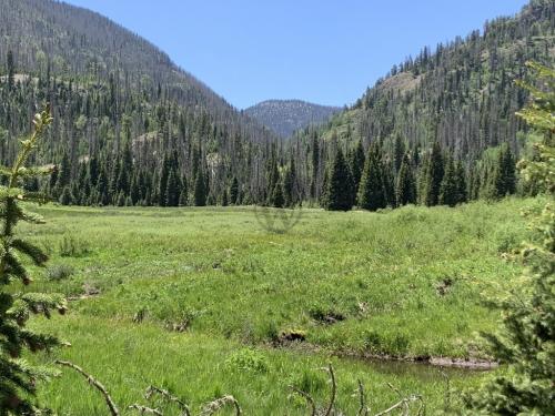 Big Meadow Reservoir Trail