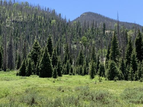 Big Meadow Reservoir Trail