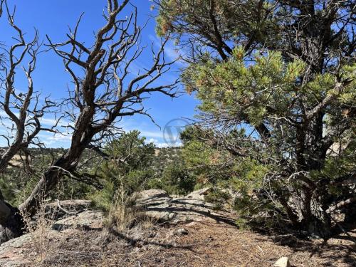 Big Sky Loop Trail