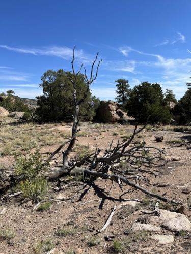 Big Sky Loop Trail