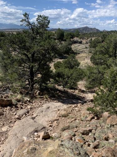 Big Sky Loop Trail