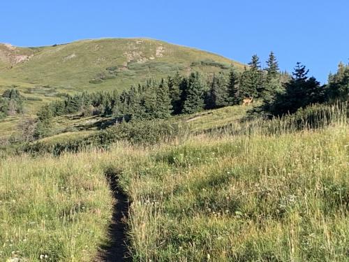 Crater Lake trail