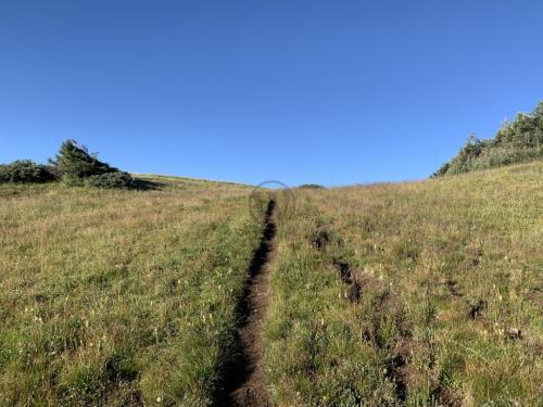 Crater Lake trail