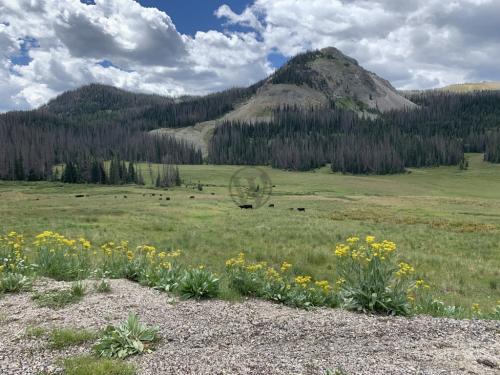 Crater Lake trail