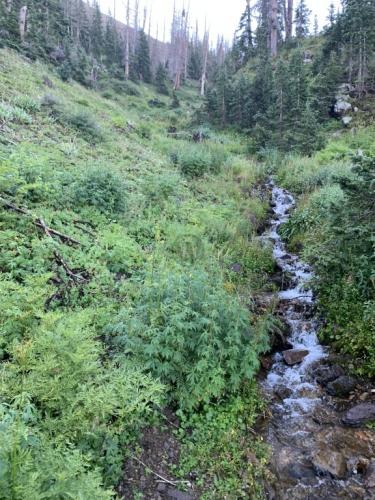 Crater Lake trail