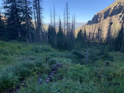 Crater Lake Trail