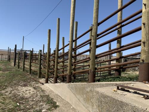 Tallgrass Prairie Cattle Pens