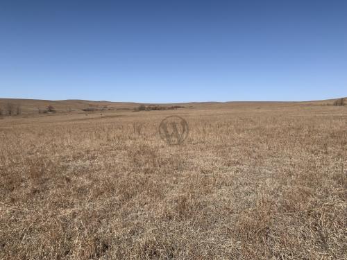 Tallgrass Prairie