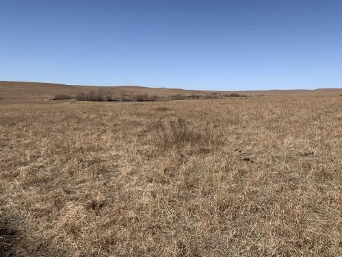 Tallgrass Prairie