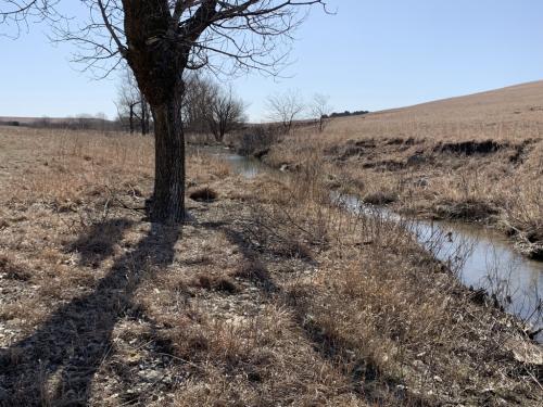 Tallgrass Prairie