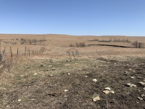 Tallgrass Prairie