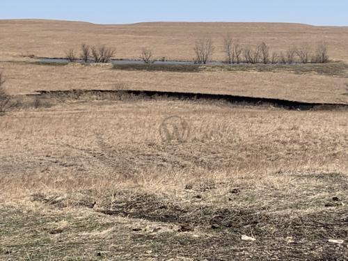 Tallgrass Prairie