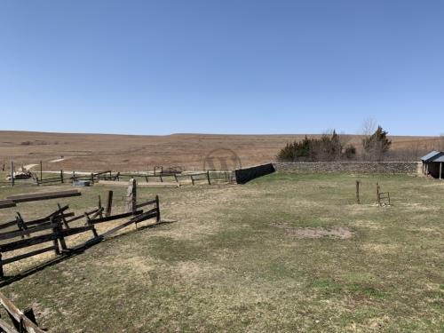 Tallgrass Prairie