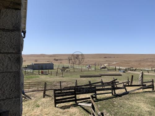 Tallgrass Prairie