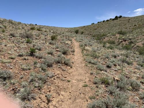 Lookout Mountain Trail